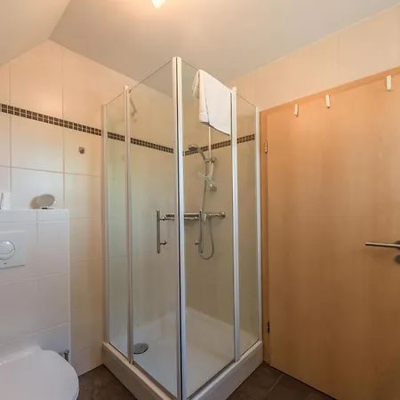 Finn Im Heidpark Silz (Mecklenburg-Vorpommern)