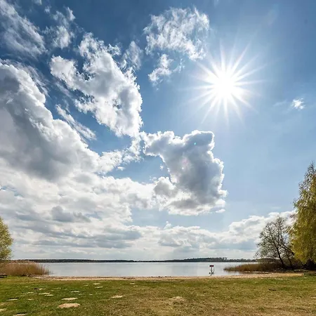 Finn Im Heidpark Silz (Mecklenburg-Vorpommern)