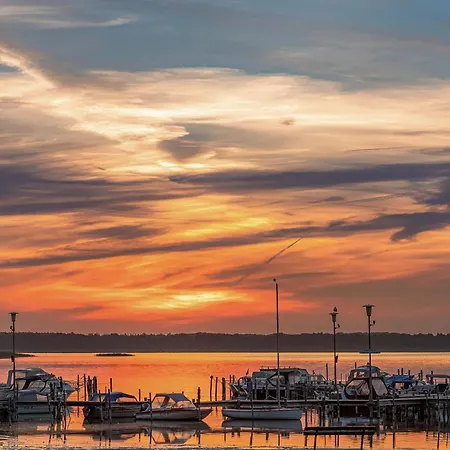Finn Im Heidpark Silz (Mecklenburg-Vorpommern)