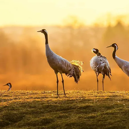 Finn Im Heidpark Casa vacanze