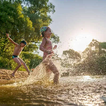 Finn Im Heidpark Silz (Mecklenburg-Vorpommern)