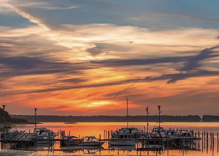 Finn Im Heidpark Silz